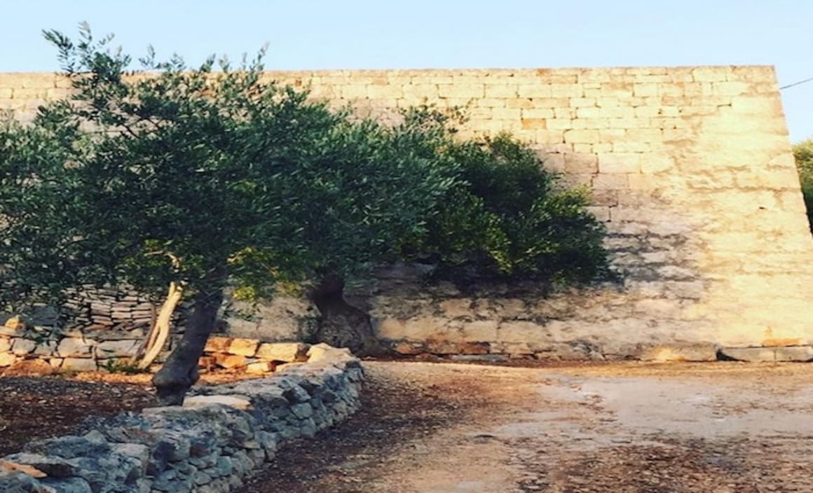 Colette Dinnigan secures 400 year old Puglia, Italy farmh...